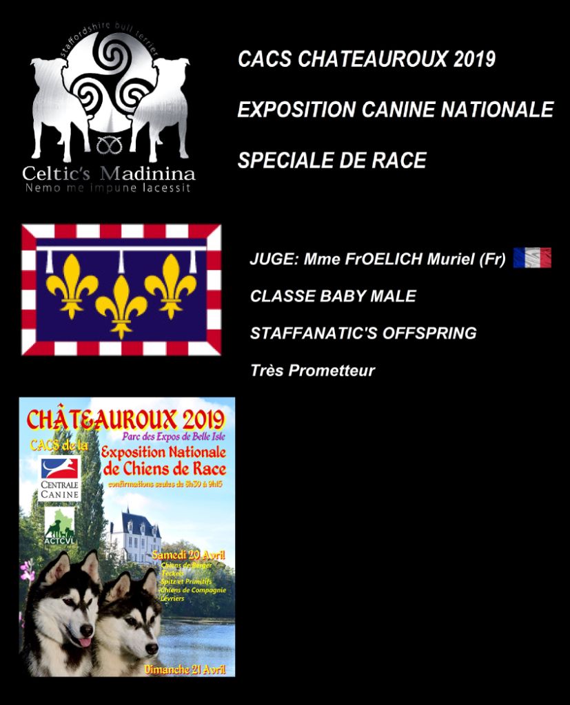 De Celtic's Madinina - CACS de Châteauroux, Spéciale de race