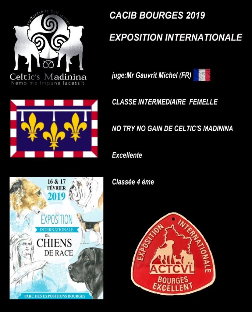 De Celtic's Madinina - Exposition canine internationale Bourges