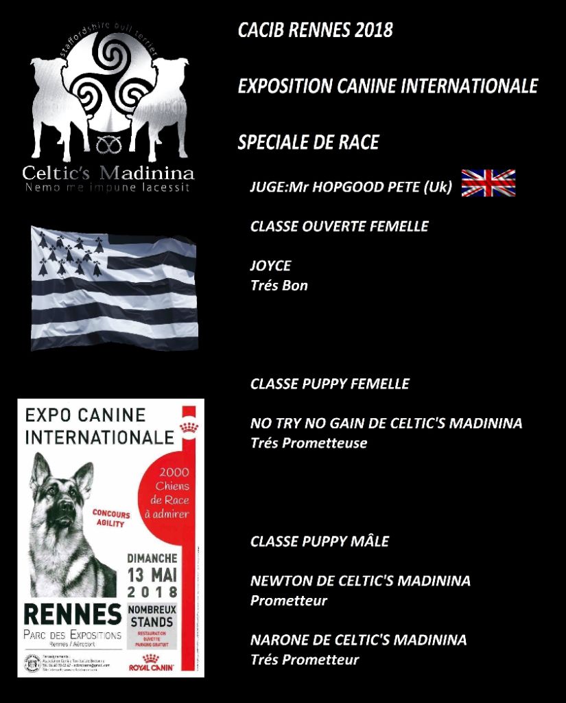 De Celtic's Madinina - Exposition canine internationale Rennes