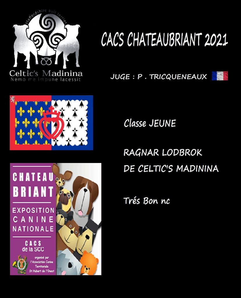 De Celtic's Madinina - CACS Chateaubriant 2021