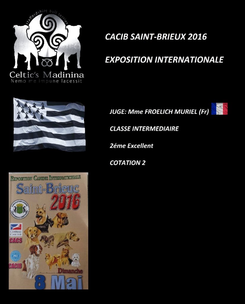 De Celtic's Madinina - Exposition canine internationale de Saint-Brieux, Joyce