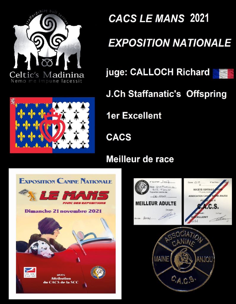 De Celtic's Madinina - CACS Le Mans 2021,J.Ch Staffanatic's Offspring