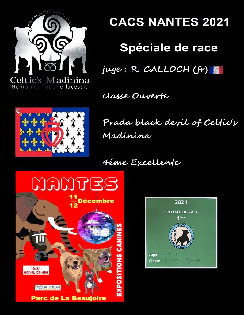 De Celtic's Madinina - CACS Nantes 2021,Spéciale de race,Prada black devil of C-M