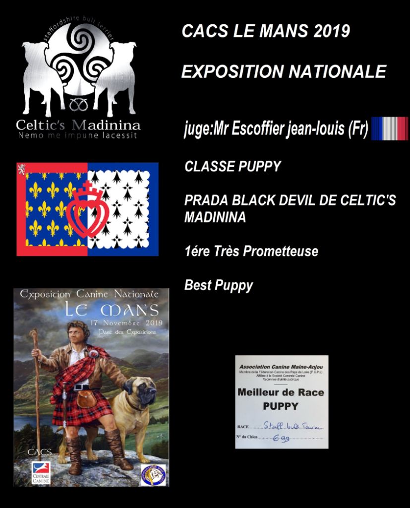 De Celtic's Madinina - CACS Le Mans,Prada black devil de Celtic's Madinina 