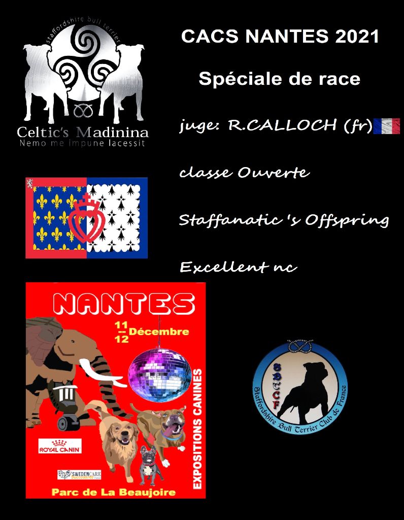 De Celtic's Madinina - CACS Nantes 2021,Spéciale de race,JCh Staffanatic's Offspring