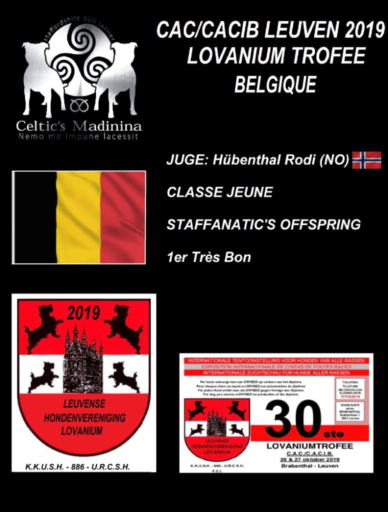 De Celtic's Madinina - CAC/CACIB Lovanium Trofee,Belgique