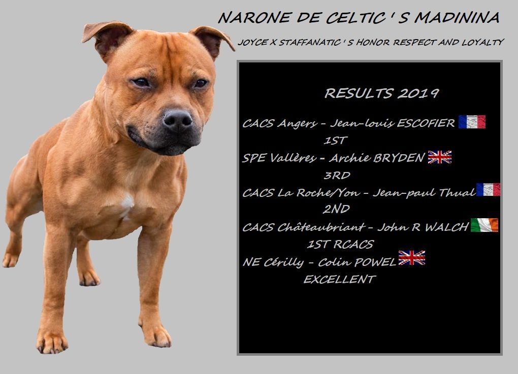 De Celtic's Madinina - Narone de Celtic's Madinina , résultats 2019