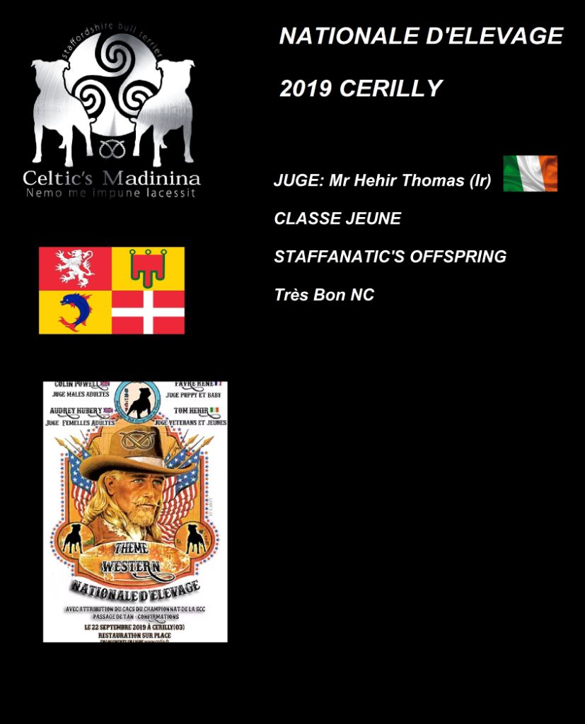 De Celtic's Madinina - Nationale d'élevage 2019,Cerilly, Staffanatic's Offspring