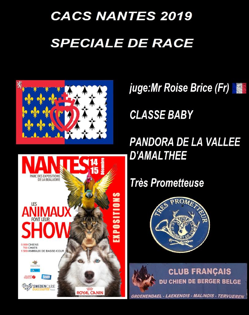 CACS Nantes 2019,Spéciale de race